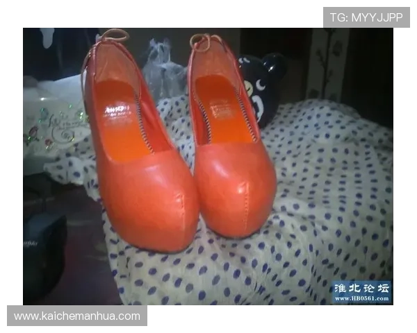 凯发网网站登录入口官网网址官方入口网址访问常见问题解析