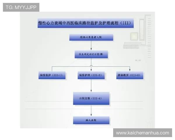 探讨凯发K8游戏平台的下载路径及用户评价分析