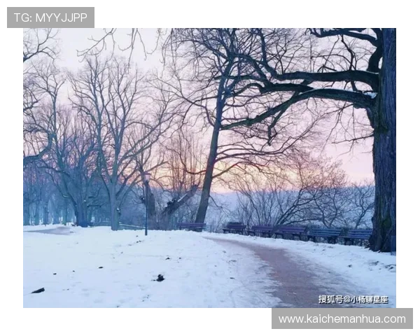 富贵三张：如何利用三张牌提升你的财运与人生地位