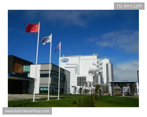 宝盈集团在国际市场拓展中的战略布局与合作伙伴关系