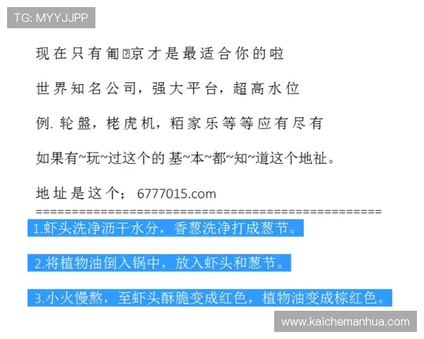 深入了解K发娱乐K8的安全保障措施确保玩家账号信息安全无忧 深入了解K发娱乐K8的安全保障措施确保玩家账号信息安全无忧
